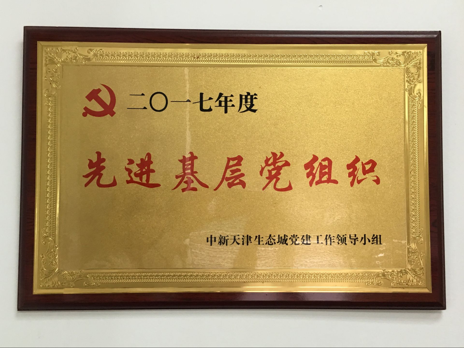 2017先進(jìn)基層黨組織.png