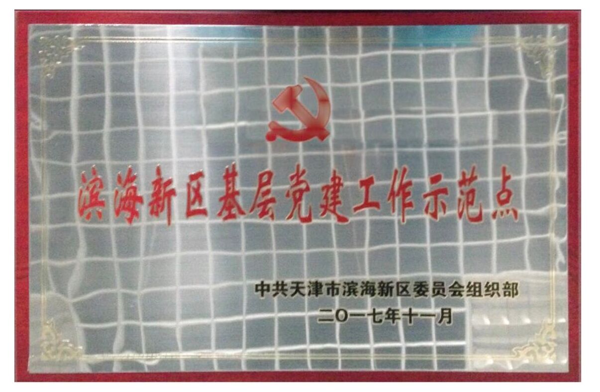 2017年11月濱海新區(qū)基層黨建工作示范點